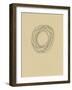 Circle 8-Jaime Derringer-Framed Giclee Print