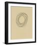 Circle 8-Jaime Derringer-Framed Giclee Print