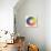 Circle Demonstrating Colour Differences and Contrasts-null-Giclee Print displayed on a wall