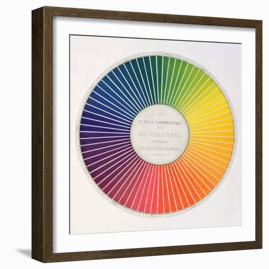 Circle Demonstrating Colour Differences and Contrasts-null-Framed Giclee Print