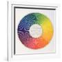 Circle Demonstrating Colour Differences and Contrasts-null-Framed Giclee Print