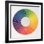 Circle Demonstrating Colour Differences and Contrasts-null-Framed Giclee Print