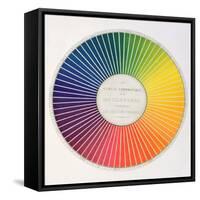 Circle Demonstrating Colour Differences and Contrasts-null-Framed Stretched Canvas