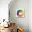 Circle Demonstrating Colour Differences and Contrasts-null-Stretched Canvas displayed on a wall