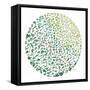 Circle Garden II-Ann Marie Coolick-Framed Stretched Canvas