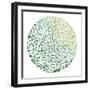 Circle Garden II-Ann Marie Coolick-Framed Art Print