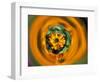 Circle of Color in Mylar, Sammamish, Washington, USA-Darrell Gulin-Framed Photographic Print