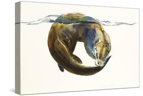 Circle of Life, 2014-Mark Adlington-Stretched Canvas