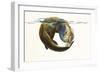 Circle of Life, 2014-Mark Adlington-Framed Premium Giclee Print