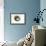 Circle of Life, 2014-Mark Adlington-Framed Giclee Print displayed on a wall