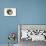 Circle of Life, 2014-Mark Adlington-Mounted Giclee Print displayed on a wall