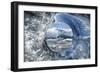 Circle of Life-Tim Vollmer-Framed Photographic Print