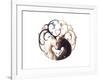 Circle of Life-JoJoesArt-Framed Giclee Print