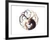 Circle of Life-JoJoesArt-Framed Giclee Print