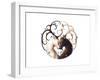 Circle of Life-JoJoesArt-Framed Giclee Print