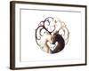 Circle of Life-JoJoesArt-Framed Giclee Print