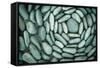 Circle of Stones-Kathy Mahan-Framed Stretched Canvas