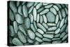 Circle of Stones-Kathy Mahan-Stretched Canvas