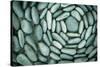 Circle of Stones-Kathy Mahan-Stretched Canvas