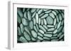 Circle of Stones-Kathy Mahan-Framed Photographic Print