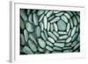 Circle of Stones-Kathy Mahan-Framed Photographic Print