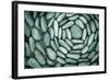 Circle of Stones-Kathy Mahan-Framed Photographic Print