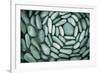Circle of Stones-Kathy Mahan-Framed Photographic Print