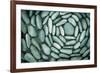 Circle of Stones-Kathy Mahan-Framed Photographic Print