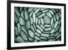 Circle of Stones-Kathy Mahan-Framed Photographic Print