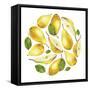 Circle of Yellow Pears-Maria Mirnaya-Framed Stretched Canvas