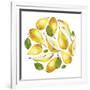 Circle of Yellow Pears-Maria Mirnaya-Framed Art Print