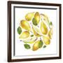 Circle of Yellow Pears-Maria Mirnaya-Framed Art Print