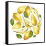 Circle of Yellow Pears-Maria Mirnaya-Framed Stretched Canvas