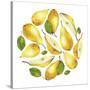 Circle of Yellow Pears-Maria Mirnaya-Stretched Canvas