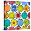 Circle Pattern with Flowers II-Irena Orlov-Stretched Canvas