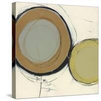 Circle Series 2-Christopher Balder-Stretched Canvas
