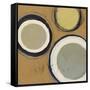 Circle Series 3-Christopher Balder-Framed Stretched Canvas