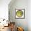 Circle-Tree-Howie Green-Framed Giclee Print displayed on a wall