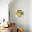 Circle-Tree-Howie Green-Stretched Canvas displayed on a wall