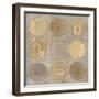 Circles Of Life I-Lisa Audit-Framed Giclee Print