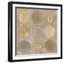 Circles Of Life I-Lisa Audit-Framed Giclee Print