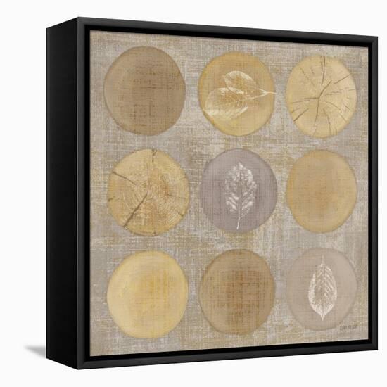 Circles Of Life II-Lisa Audit-Framed Stretched Canvas