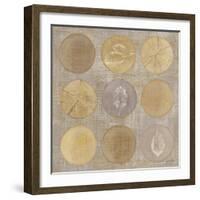 Circles Of Life II-Lisa Audit-Framed Giclee Print