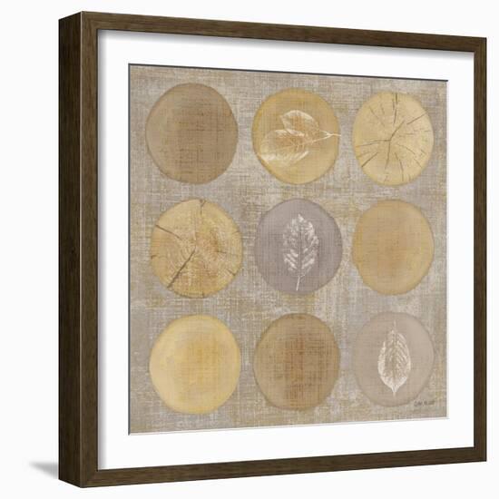 Circles Of Life II-Lisa Audit-Framed Giclee Print