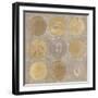 Circles Of Life II-Lisa Audit-Framed Giclee Print