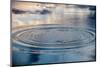 Circles on the Water of a Lake and Sky Reflection-null-Mounted Photographic Print