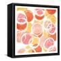 Circular Abstract Blush Orange-OnRei-Framed Stretched Canvas