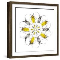 Circular Beetle Design with Horned Beetles Celosterna Pollinosa and Aristobia Voeti-Darrell Gulin-Framed Photographic Print