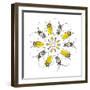 Circular Beetle Design with Horned Beetles Celosterna Pollinosa and Aristobia Voeti-Darrell Gulin-Framed Photographic Print