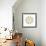 Circular Beetle Design with Horned Beetles Celosterna Pollinosa and Aristobia Voeti-Darrell Gulin-Framed Photographic Print displayed on a wall